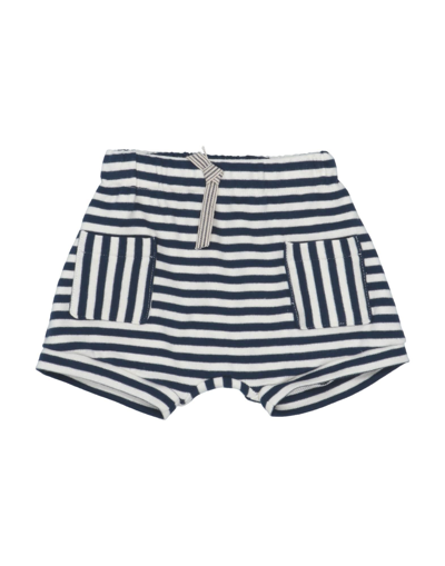 Shop Aletta Newborn Boy Shorts & Bermuda Shorts Midnight Blue Size 3 Cotton