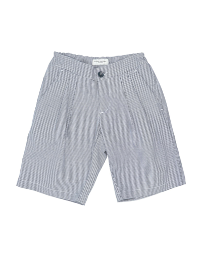 Paolo Pecora Toddler Boy Shorts & Bermuda Shorts Midnight Blue Size 6 Cotton, Elastane In Blue