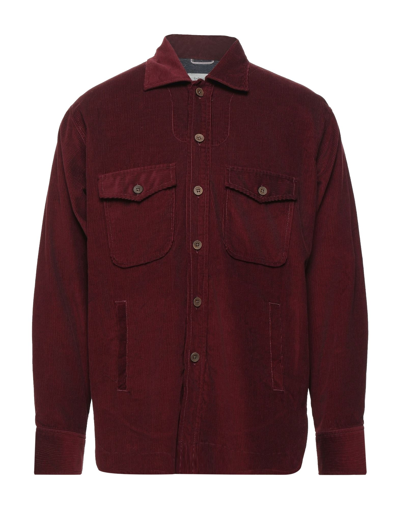 Shop Tintoria Mattei 954 Man Shirt Burgundy Size 14 ½ Cotton In Red