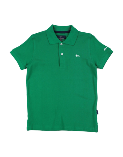 Shop Harmont & Blaine Polo Shirts In Green