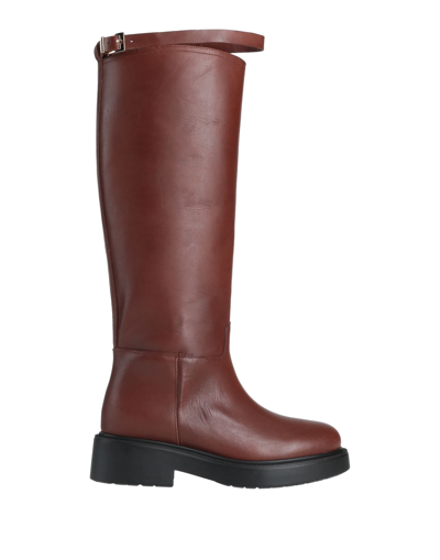 Shop Hadel Woman Boot Brown Size 7 Calfskin