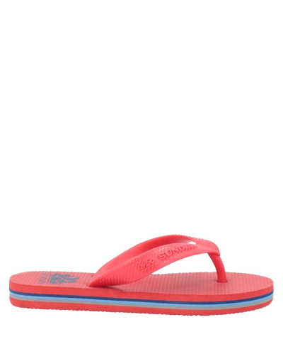 Sundek Toe Strap Sandals In Red