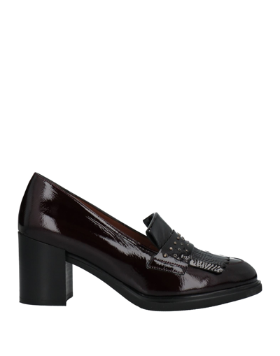 Shop Just Melluso Loafers In Maroon