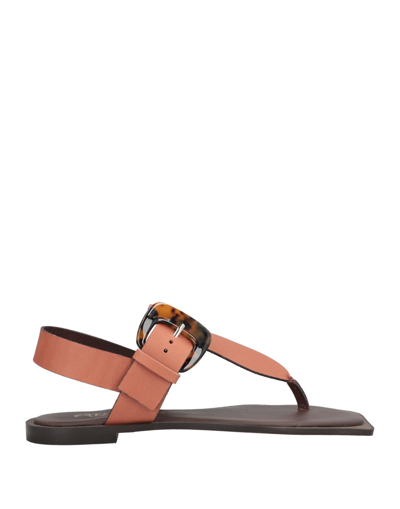 Shop Cafènoir Woman Toe Strap Sandals Tan Size 8 Soft Leather In Brown