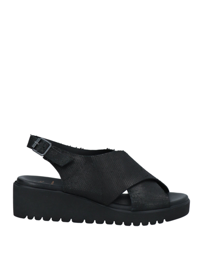 Shop Maritan G Woman Sandals Black Size 7 Soft Leather