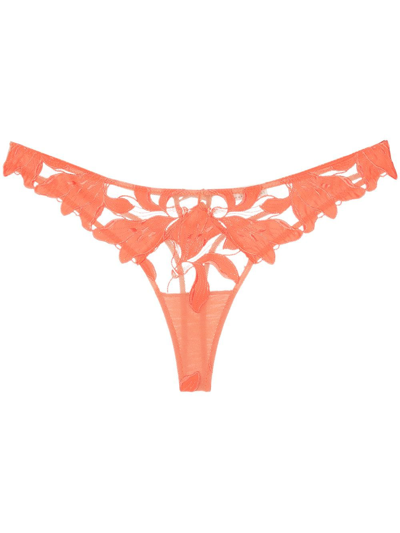 Fleur Du Mal Lily Floral-embroidered Hipster Thong In Clementine