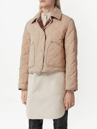 Shop Burberry Cropped Long-sleeve Jacket In Neutrals