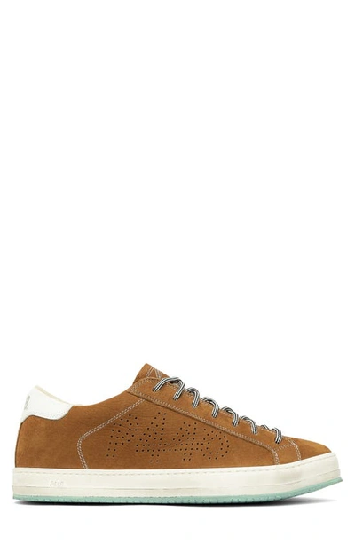 Shop P448 John Faux Shearling Lined Leather Sneaker In Cookie