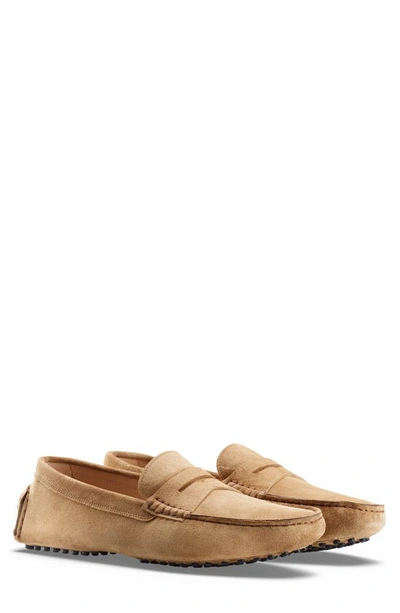 Shop Koio Maranello Pebbled Leather Penny Loafer In Cumin