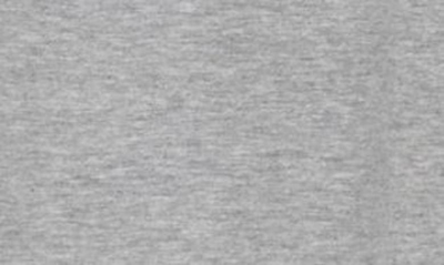 Rainforest Soft Washed Graphic T-shirt In Heather Grey