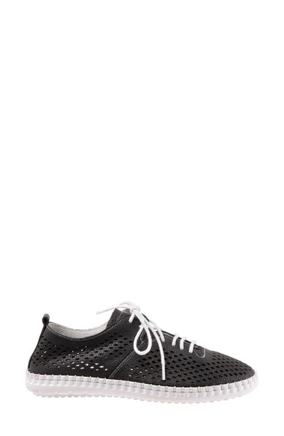 Shop Bueno Dellis Perforated Sneaker In Black