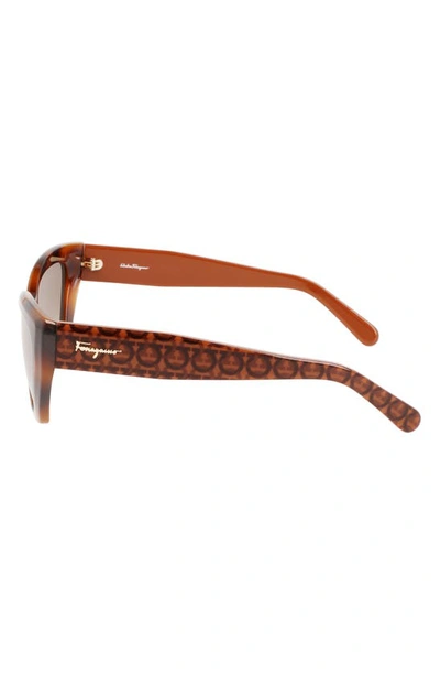 Ferragamo Gancio Acetate Cat-eye Sunglasses In Classic Tortoise