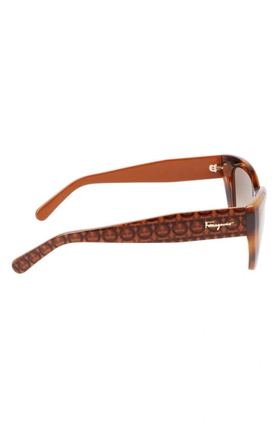 Ferragamo Gancio Acetate Cat-eye Sunglasses In Classic Tortoise