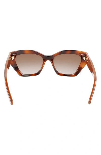 Ferragamo Gancio Acetate Cat-eye Sunglasses In Classic Tortoise