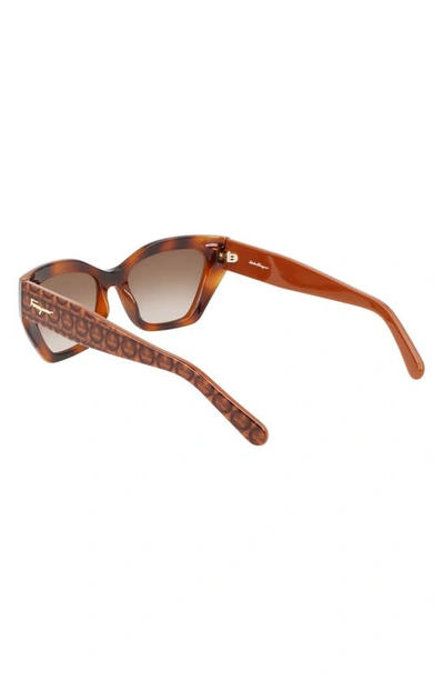 Ferragamo Gancio Acetate Cat-eye Sunglasses In Classic Tortoise