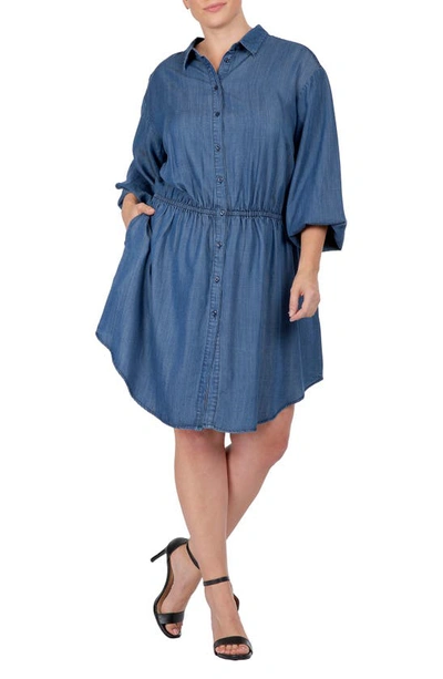 Shop Standards & Practices Long Sleeve Elastic Waist Shirtdress In 3236rinse