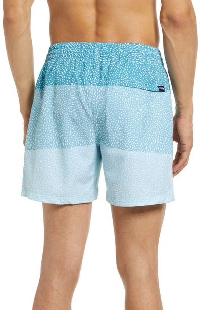 Shop Chubbies 5.5-inch Swim Trunks In The Whale Sharks