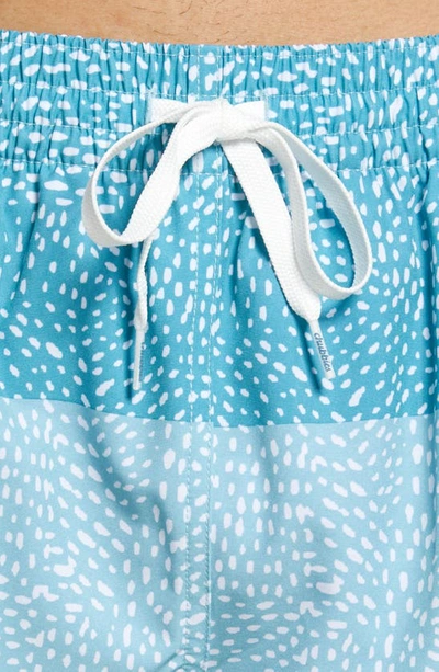 Chubbies 5.5-inch Swim Trunks In The Whale Sharks