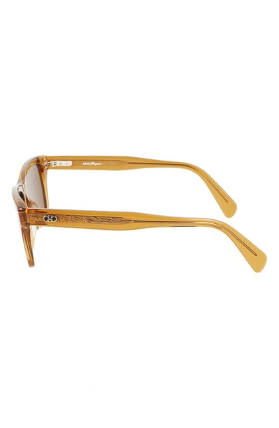 Ferragamo Gancini 54mm Rectangular Sunglasses In Transparent Caramel