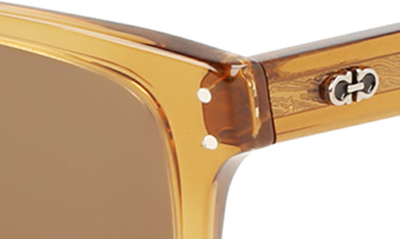 Ferragamo Gancini 54mm Rectangular Sunglasses In Transparent Caramel