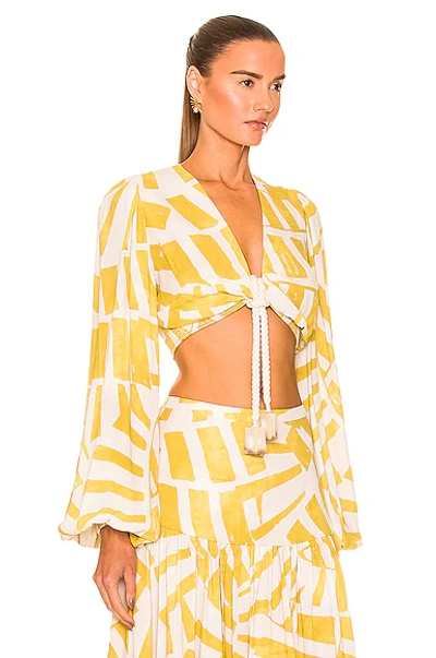 Shop Alexis Biosa Top In Canary