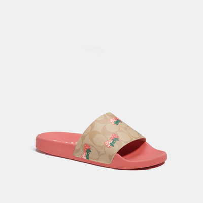 Coach Uli Sport Slide With Strawberry Print In Pink | ModeSens