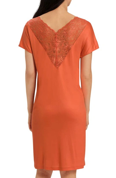 Shop Hanro Juna Lace Inset Nightgown In 1279 - Coral Gold