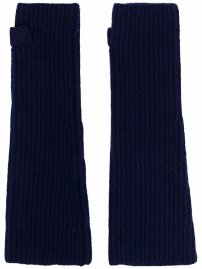 Shop Nina Ricci Ribbed Wool Mittens In Blue
