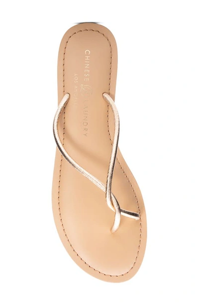 Shop Chinese Laundry Camisha Flip Flop In Gold