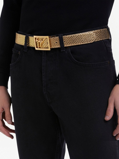 Shop Giuseppe Zanotti Linum Snakeskin-effect Belt In Gold