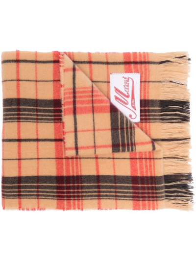 Shop Marni Check-patterned Fringed Scarf In Brown