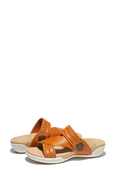 Shop Halsa Footwear Desiree Sandal In Dark Mango
