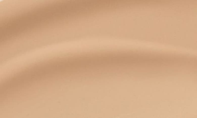 Mac Cosmetics Mac Pro Longwear Concealer In Nc20