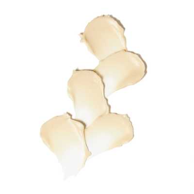 Osea Undaria Algae Body Butter In Default Title