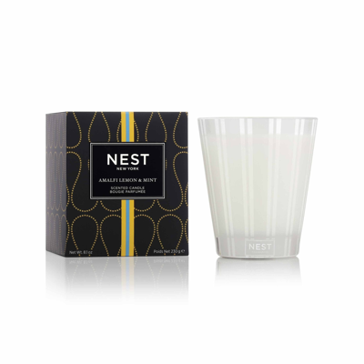 Shop Nest New York Amalfi Lemon And Mint Candle In 8.1 oz (classic)