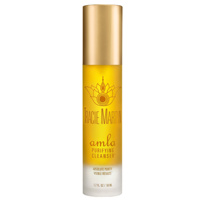 Shop Tracie Martyn Amla Purifying Cleanser In Default Title