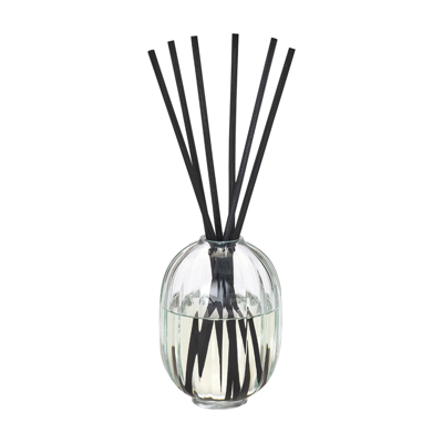 Diptyque Roses Home Fragrance Diffuser Set In Default Title