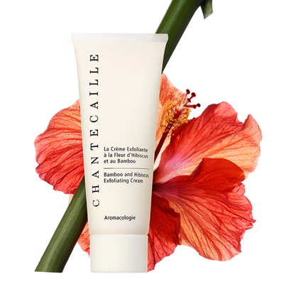 Shop Chantecaille Bamboo And Hibiscus Exfoliating Cream In Default Title