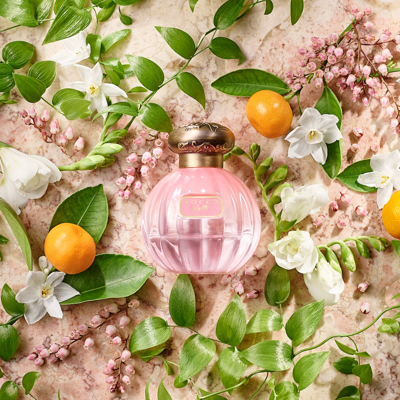 Tocca Belle Eau De Parfum In 50 ml