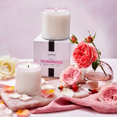 Shop Lafco Blush Rose Signature Candle In Default Title