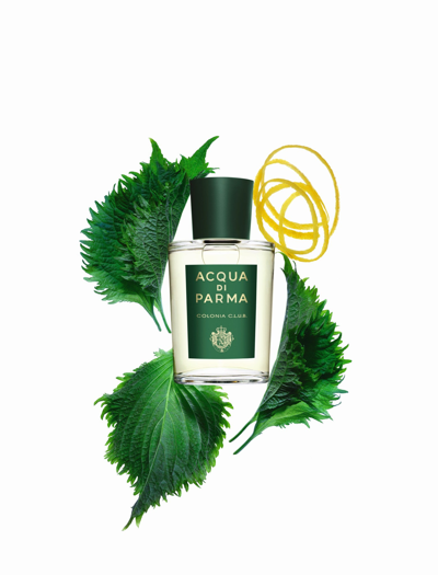 Acqua Di Parma Colonia Club Eau De Cologne In 1.7 Fl oz | 50 ml