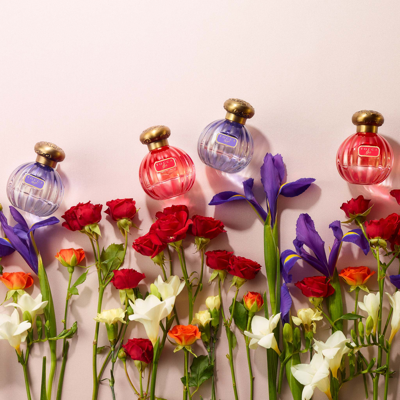 Tocca Gia Eau De Parfum In Default Title