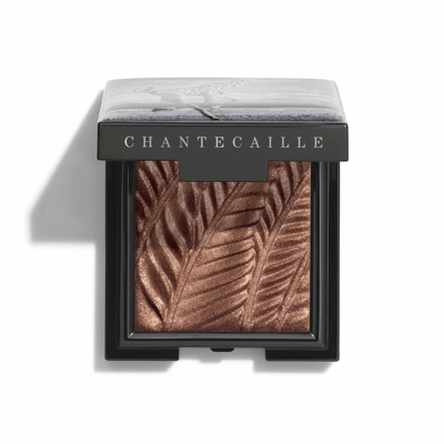 Shop Chantecaille Luminescent Eye Shade In Giraffe