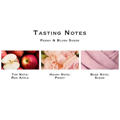 Jo Malone London Peony & Blush Suede Diffuser In Default Title