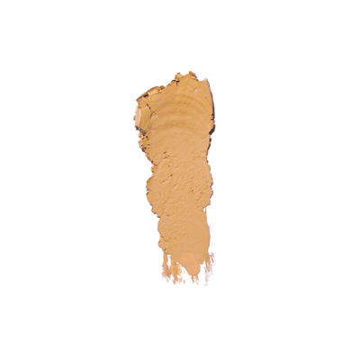 Bobbi Brown Skin Foundation Stick In Warm Natural
