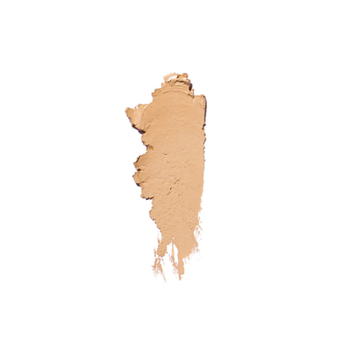 Bobbi Brown Skin Foundation Stick In Beige