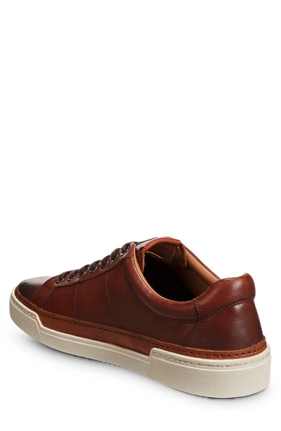 Allen Edmonds Porter City Sneaker In Chili