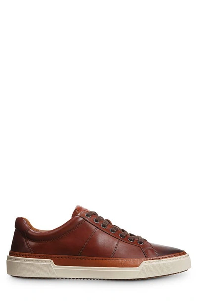 Allen Edmonds Porter City Sneaker In Chili