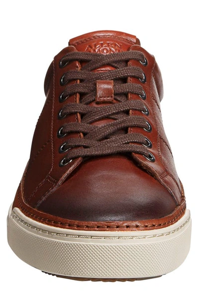 Allen Edmonds Porter City Sneaker In Chili