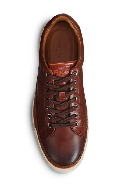 Allen Edmonds Porter City Sneaker In Chili